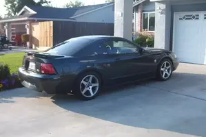 stangcobras2.webp