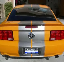 DSCN4865.webp