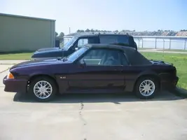 Picture004.webp