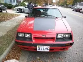 104_0545.webp
