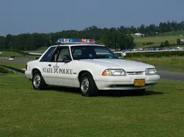 bama10.webp
