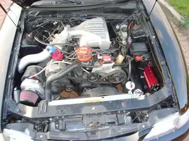 Picture213-1.webp