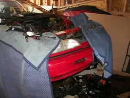 Acura006.webp