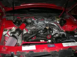 100_0386.webp