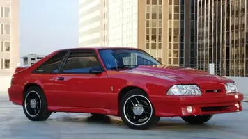 DSC00200.webp