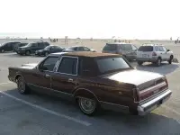 picture010br0.th.webp