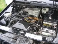 img2167mb4.th.webp