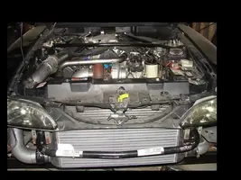 front1.webp