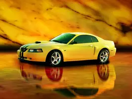 tim2002gt.webp