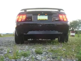 mn6.webp