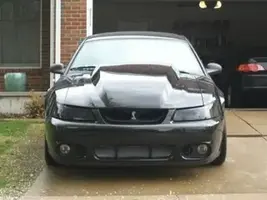 Cobra31.webp