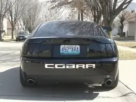 Cobra21.webp