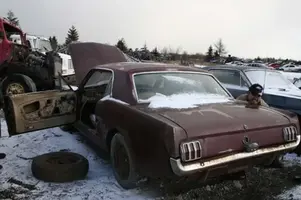 mustang_back.webp
