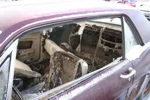 mustang_inside.webp