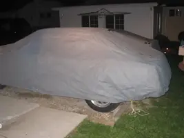 88mustang11-17-07017.webp