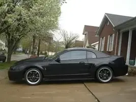 cobra71.webp