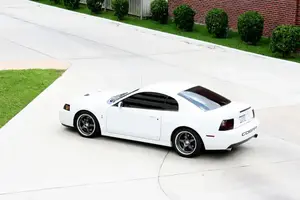 cobra4.webp