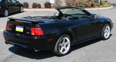 mustang1.webp