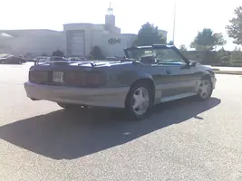 mustangsprings2.webp