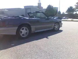 mustangsprings.webp
