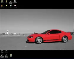 Wp1.webp
