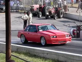 P1000675.webp