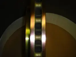 mini-DSC02254.webp