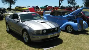 CruzinforaCure200714.webp