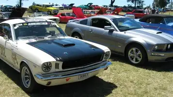 CruzinforaCure200715.webp