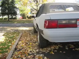 88mustang50lx011.webp