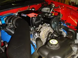 DSC01818.webp