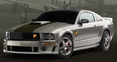 P51a377x283.webp