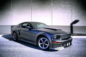 1795154737_33f79a6ad2.webp