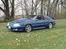 91gtgrass1.webp