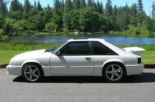 Stang.webp