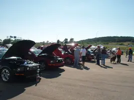 PA280385.webp