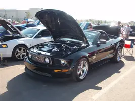 PA280362.webp