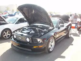 PA280363.webp