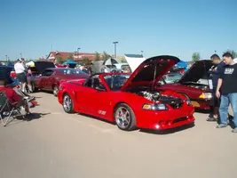 PA280386.webp