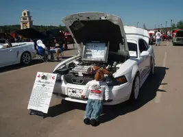 PA280382.webp