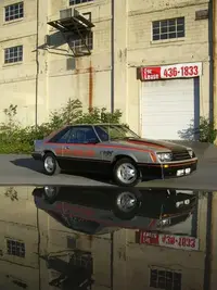 shoot161.webp