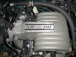 Mustang%20034.webp
