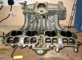 tvisplusmanifold.webp