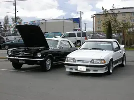 Myfavorites.webp