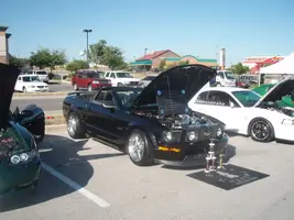 PA200266.webp