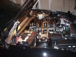 PA240316.webp