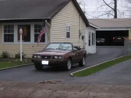 1983mustangpicturesbeforewinters-19.webp