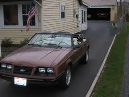 1983mustangpicturesbeforewinters-7.webp