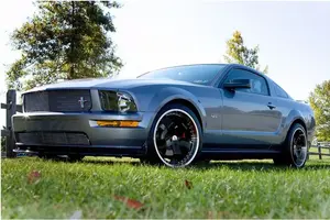 anglefromgrass.webp