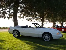 carshow008.webp